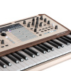 arturia_polybrute_12_007_602483900